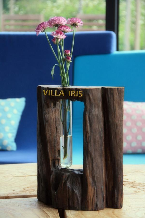 Villa Iris Baisha Buitenkant foto